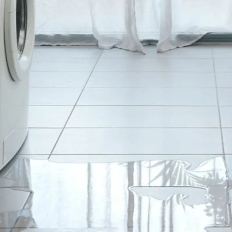 Appliance Leak Cleanup in Minden, LA