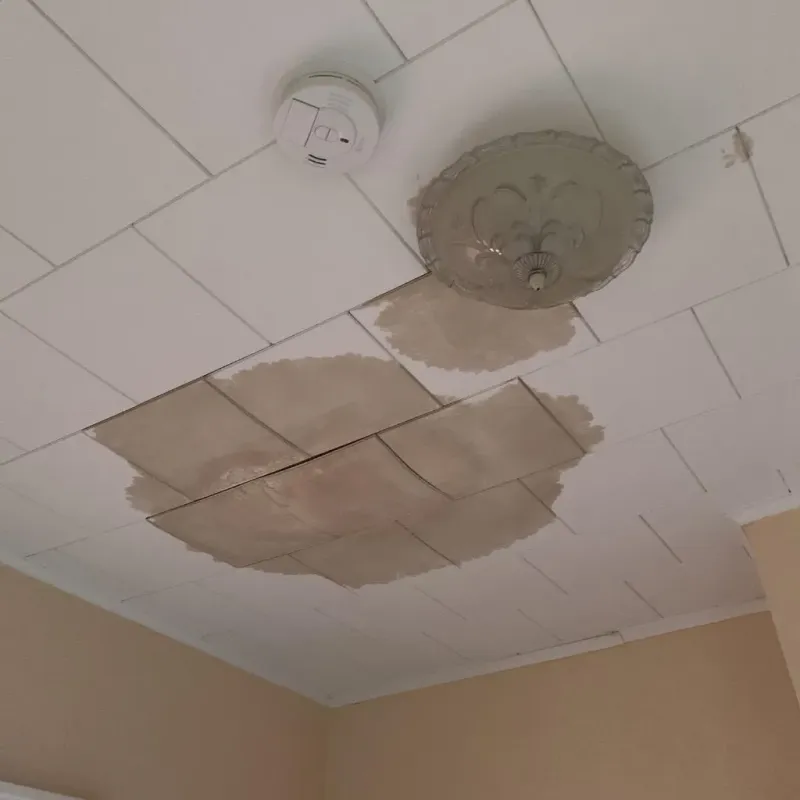 Ceiling Water Damage Repair in Minden, LA